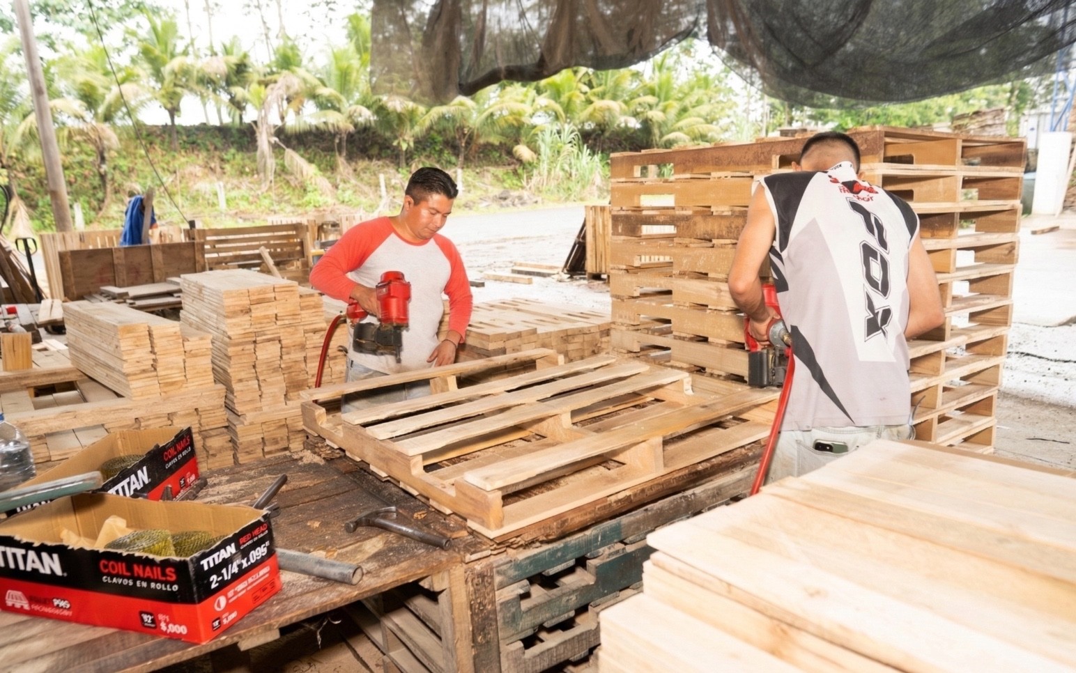 Proceso de Fabricación de tarimas