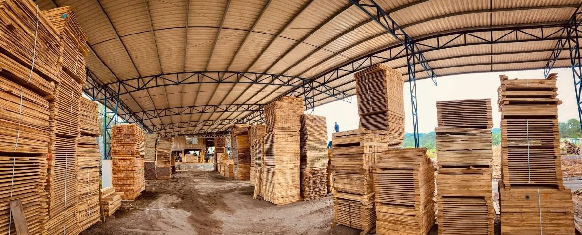 Experiencia en el sector forestal